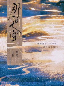 那一日大雪